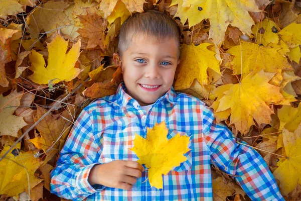 Adorable boy in autumn park — Stock Photo, Image