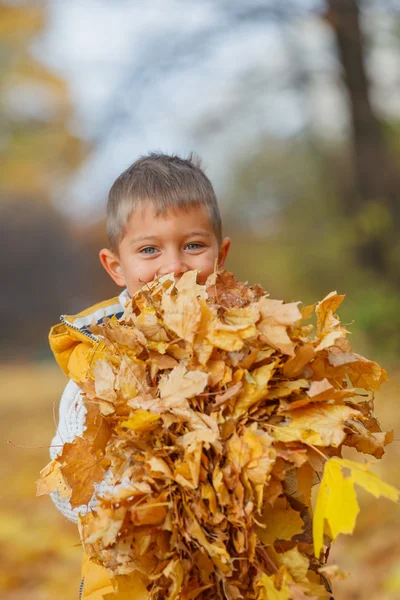 Adorable boy in autumn park — Stock Photo, Image