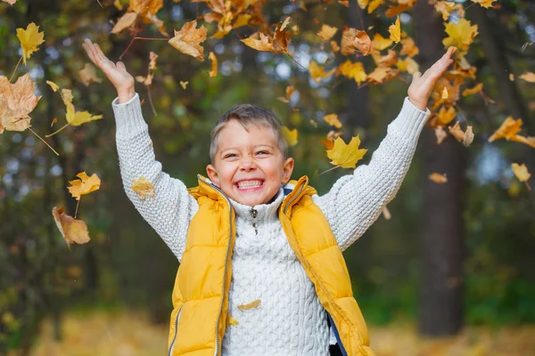 Schattige jongen in herfst park — Stockfoto