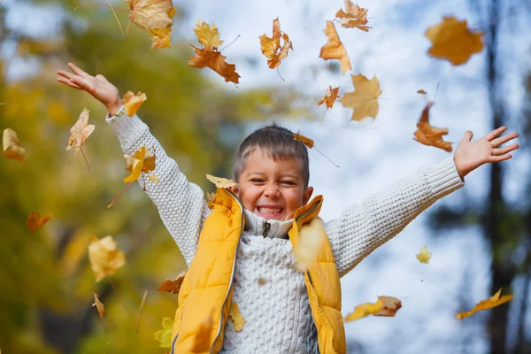 Adorable boy in autumn park — Stock Photo, Image