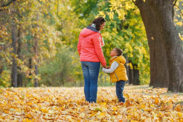 Bedårande pojke med sin mamma i höst park — Stockfoto