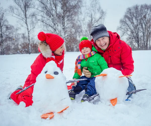 家庭玩雪 — 图库照片