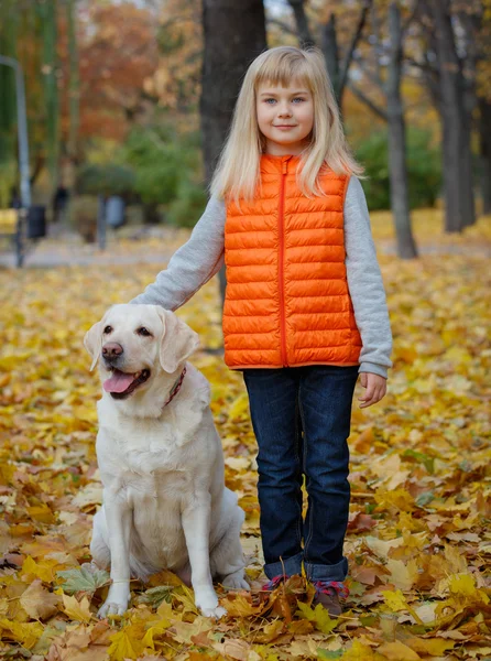 Onu köpek labrador kızla — Stok fotoğraf