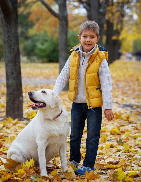 Junge mit seinem Hund Labrador — Stockfoto