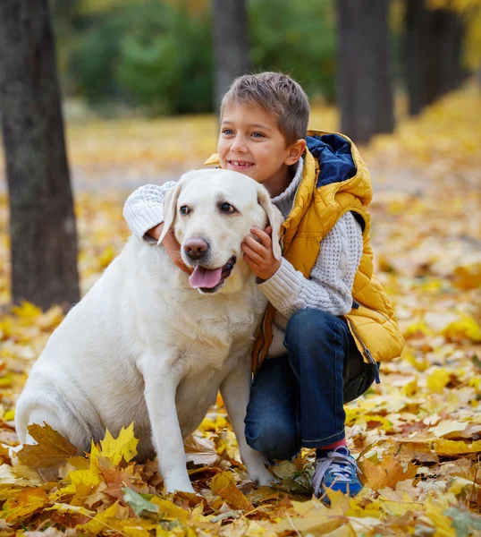 Junge mit seinem Hund Labrador — Stockfoto