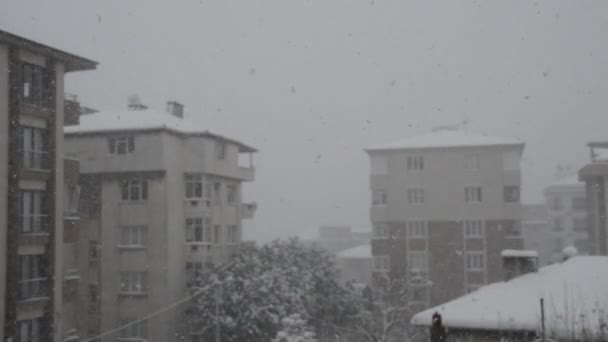 Queda de neve na cidade — Vídeo de Stock