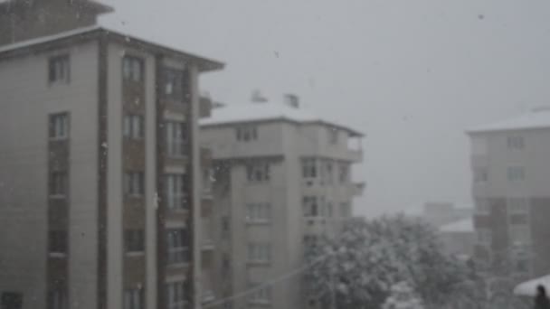 Śniegu w mieście — Wideo stockowe