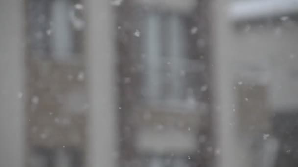Witte sneeuwvlokken close-up — Stockvideo