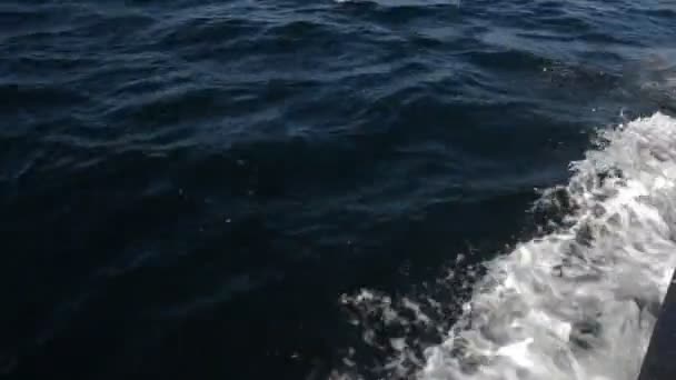 清洁和平静的海 — 图库视频影像