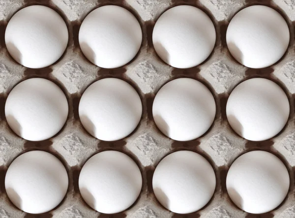 Ovos frescos biológicos — Fotografia de Stock