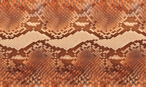 A python leather — Stock Photo, Image