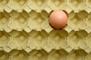 Karton bir pakette taze organik kahverengi yumurta, korunan sarı karton yumurta kutusu.