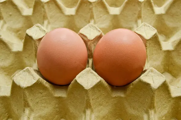 Huevos Marrones Orgánicos Frescos Paquete Caja Cartón Caja Huevos Amarillos — Foto de Stock