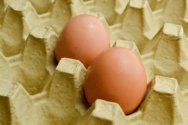 Ovos Castanhos Orgânicos Frescos Uma Embalagem Caixa Papelão Caixa Ovo — Fotografia de Stock