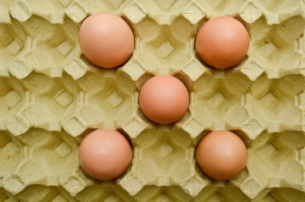 Ovos Castanhos Orgânicos Frescos Uma Embalagem Caixa Papelão Caixa Ovo — Fotografia de Stock