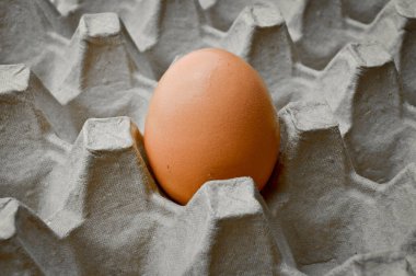 Karton bir pakette taze organik kahverengi yumurta, korunmuş kağıt gri yumurta kutusu.