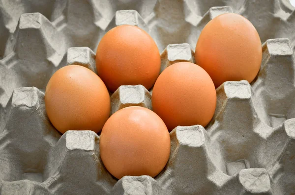 Fresh organic brown eggs in a carton box package, protected paper grey egg box