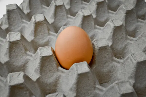 Ovos Castanhos Orgânicos Frescos Numa Embalagem Cartão Caixa Ovos Cinzenta — Fotografia de Stock