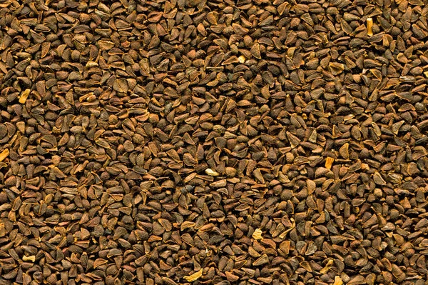 Kahverengi Bej Harmal Tohum Dokusunu Kapat Uzerlik Tohumu — Stok fotoğraf