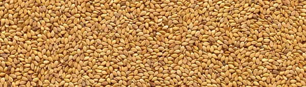 Roasted Fresh Organic Sesame Seeds Texture Can Used Background — Stock Photo, Image