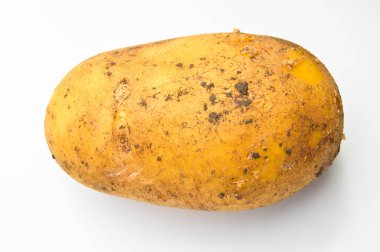 Taze organik, çiğ patates sebze, karbonhidrat ve nişasta kaynaklı sarı patates, beyaz arka planda izole edilmiş.