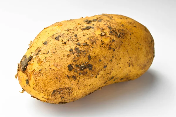 Frisches Bio Kartoffelrohgemüse Kohlenhydrate Und Stärkequelle Gelbe Kartoffel Isoliert Auf — Stockfoto