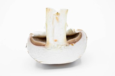 Sağlıklı ve taze kestane mantarları beyaz arka planda izole edilmiş.