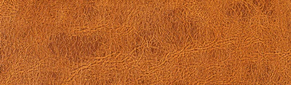 Genuine rectangular cowhide texture close up, useful as background for any design work