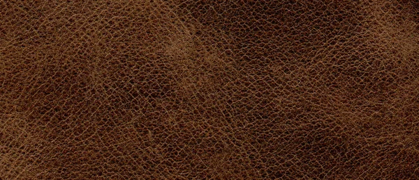 Genuine cowhide texture close up, useful as background for any design work