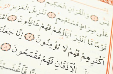 İslam 'ın kutsal kitabından sayfalar ve ayetler Kuran, kuran ve bölümler.