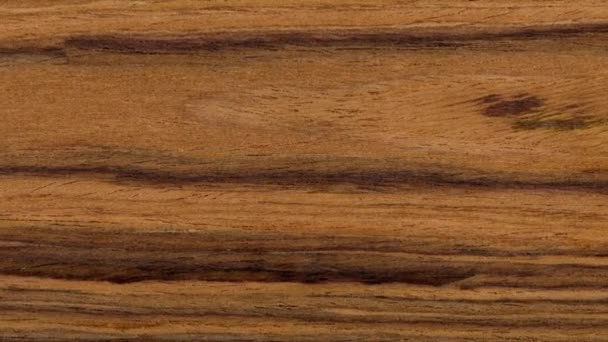 Textura Grano Madera Nuez Oliva Madera Ébano Puede Utilizar Como — Vídeos de Stock