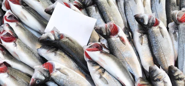 Sauberer Fisch Wird Frisch Auf Dem Fischmarkt Verkauft Frischer Barsch — Stockfoto