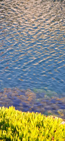 Top Kilátás Tengerre Vagy Óceánra Víz Kék Sós Tengervíz Textúra — Stock Fotó