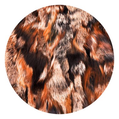 Doğal kürk dokusu, kadınlar için lüks dış giysi kışın kadınlar tarafından giyilen kürk deseni.