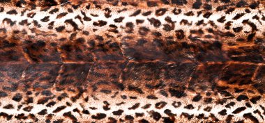 Doğal leopar kürkü dokusu, kadın modası için lüks dış giysi, orijinal leopar derisi.