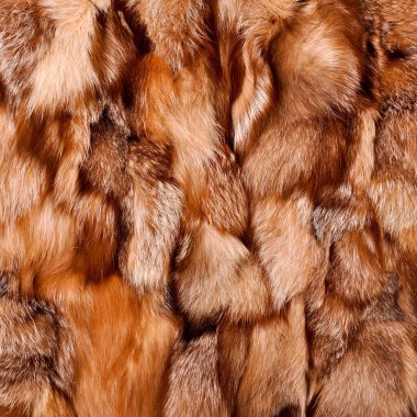 Doğal kürk dokusu, kadınlar için lüks dış giysi kışın kadınlar tarafından giyilen kürk deseni.