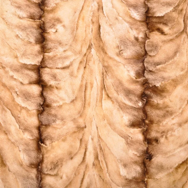 Textura Natural Pele Outerwear Luxo Para Mulheres Moda Textura Casaco — Fotografia de Stock