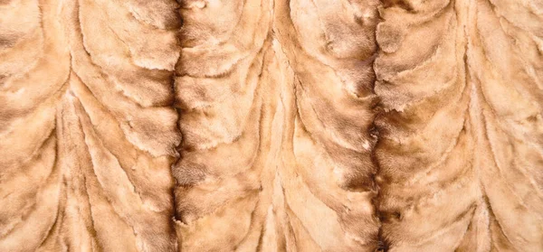 Естественная Текстура Меха Роскошная Одежда Женской Моды Текстура Шубы Которую — стоковое фото