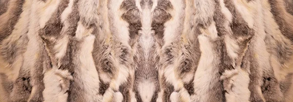 天然毛皮质感 女式服装 冬季女式毛皮外套质感 — 图库照片
