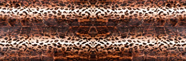 Natural leopard fur texture, luxury outerwear for women fashion, original leopard skin