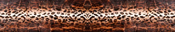Természetes Leopárdszőrme Textúra Luxus Felsőruházat Női Divat Eredeti Leopárdbőr — Stock Fotó