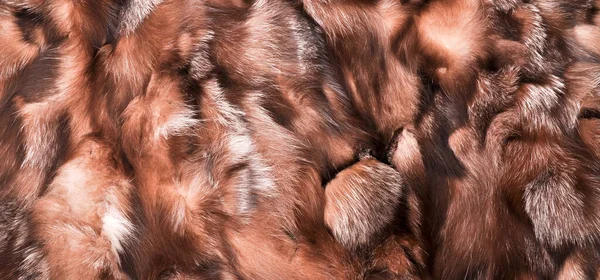 Natural Fur Texture Luxury Outerwear Women Fashion Fur Coat Texture — Stock Photo, Image