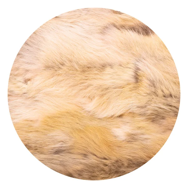 Přírodní Kožešinová Textura Luxusní Svrchní Oděv Pro Ženy Kožešinová Textura — Stock fotografie