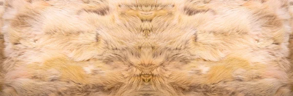 Natural Fur Texture Luxury Outerwear Women Fashion Fur Coat Texture — Stock Photo, Image