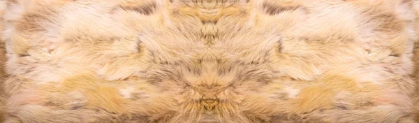 Natural Fur Texture Luxury Outerwear Women Fashion Fur Coat Texture — Stock Photo, Image