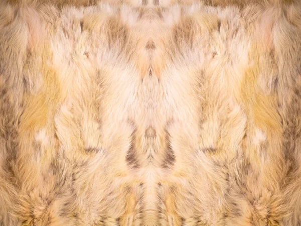 Natural Fur Texture Luxury Outerwear Women Fashion Fur Coat Texture — Stock Photo, Image