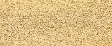 Aktif granüle edilmiş maya, anında kuru ekşi ekmek, bambu kesme tahtasında.