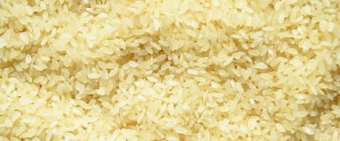 Taze organik, çiğ, kurutulmuş pirinç taneleri dokusu, pişmemiş pirinç arka planı.