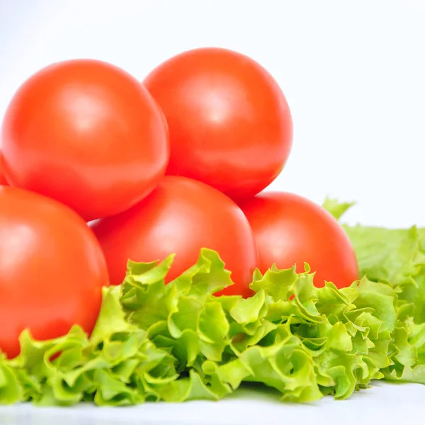 Fresh Tasty Tomato All Organic Tomato Fresh Organic Tomato Lettuce — Stock Photo, Image