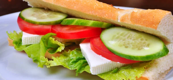 Sanduíche Queijo Caseiro Delicioso Digno Uma Boca Cheia Sanduíche Queijo — Fotografia de Stock